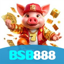 BSB888 visual