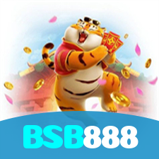 BSB888 visual