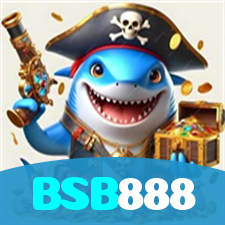 BSB888 visual