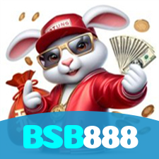 BSB888 visual