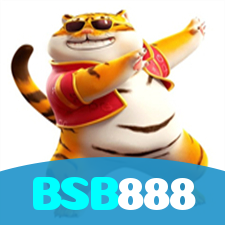 BSB888 visual