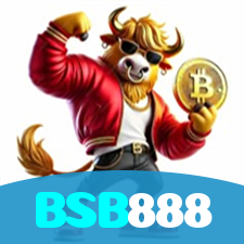 BSB888 visual