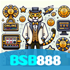 BSB888 visual