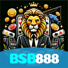 BSB888 visual