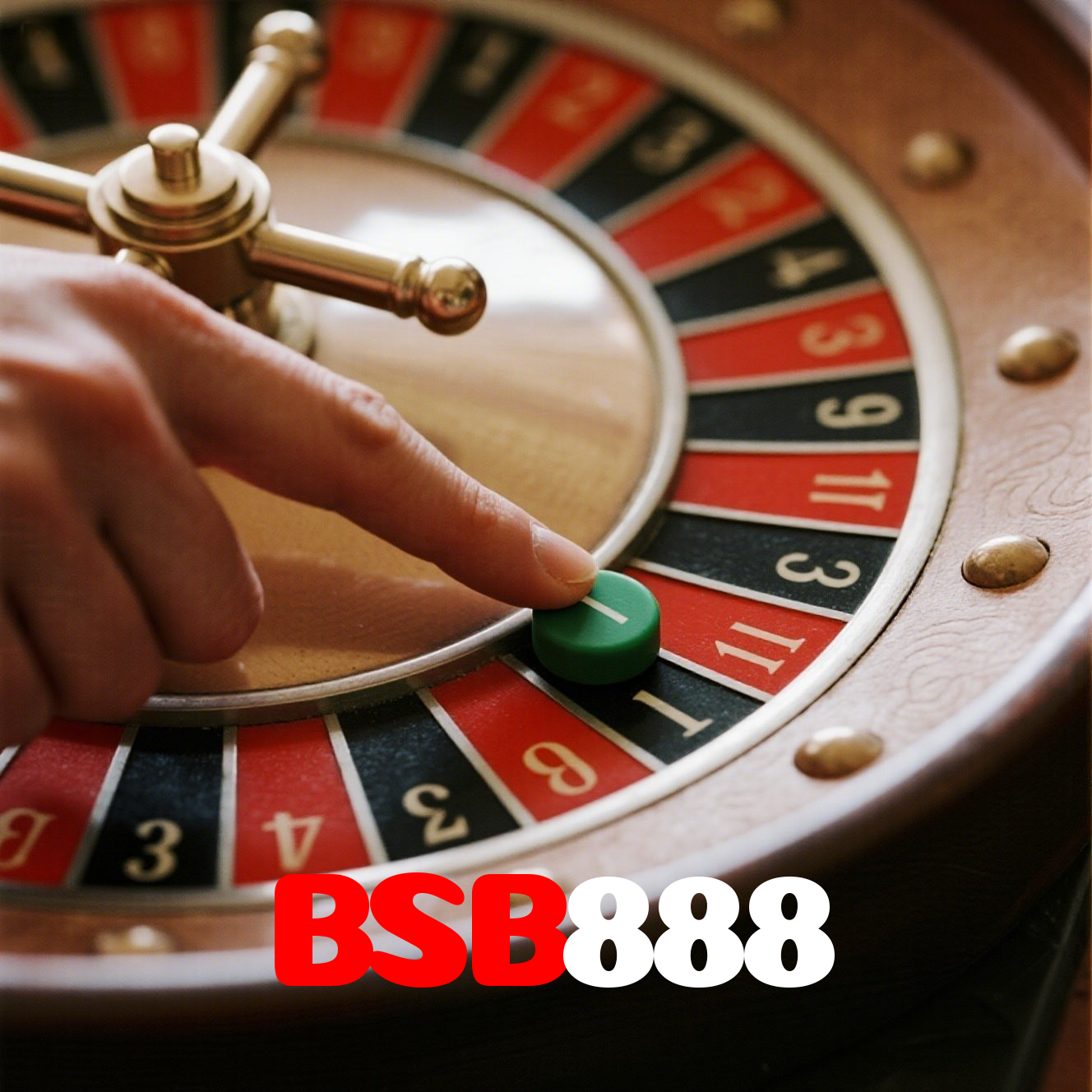 BSB888 visual