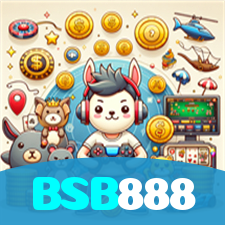 BSB888 visual