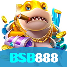 BSB888 visual