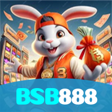 BSB888 visual