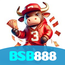 BSB888 visual
