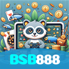 BSB888 visual