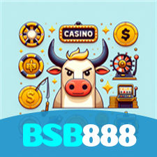 BSB888 visual