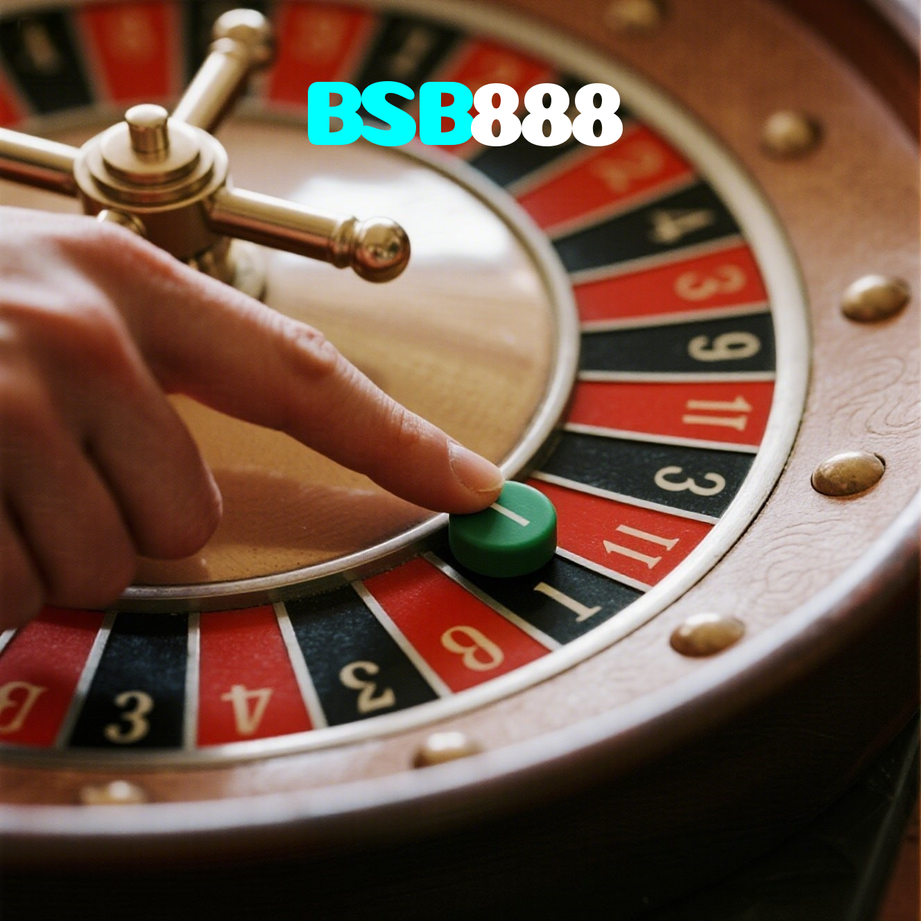 BSB888 visual