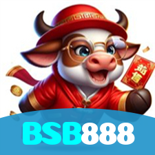 BSB888 visual