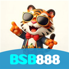 BSB888 visual