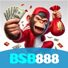 BSB888 visual