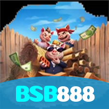 BSB888 visual