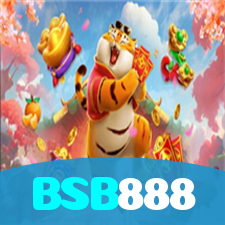 BSB888 visual