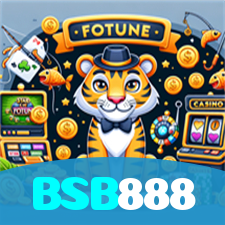 BSB888 visual