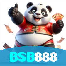 BSB888 visual
