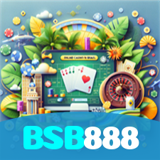 BSB888 visual