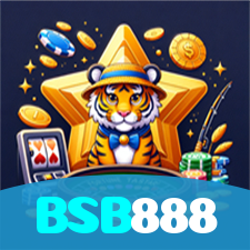 BSB888 visual
