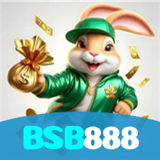 BSB888 visual