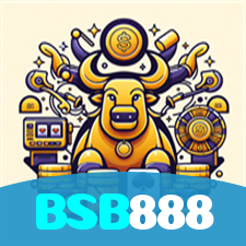 BSB888 visual