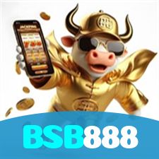 BSB888 visual