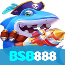 BSB888 visual