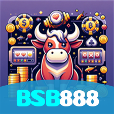 BSB888 visual