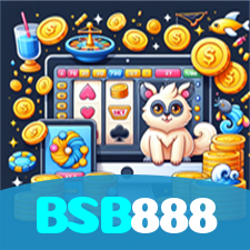 BSB888 visual