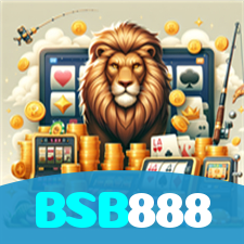 BSB888 visual