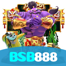 BSB888 visual