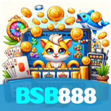 BSB888 visual