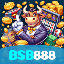 BSB888 visual