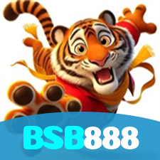 BSB888 visual