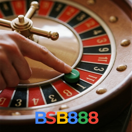 BSB888 visual