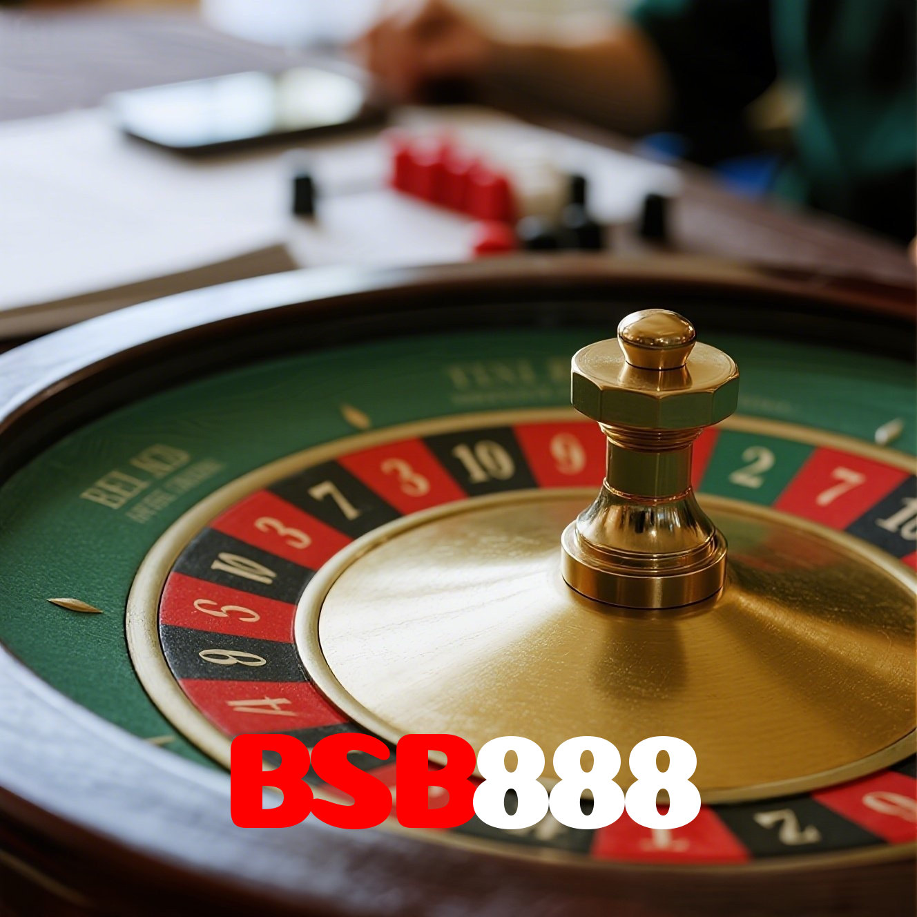 BSB888 visual