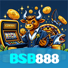 BSB888 visual