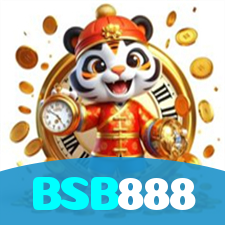 BSB888 visual