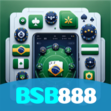 BSB888 visual