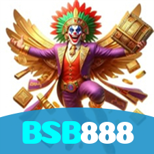 BSB888 visual