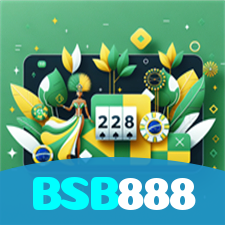 BSB888 visual