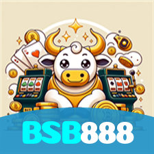 BSB888 visual