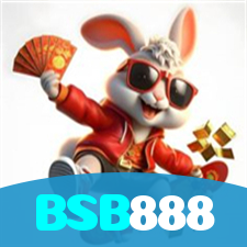 BSB888 visual