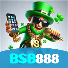 BSB888 visual