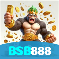 BSB888 visual