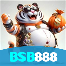 BSB888 visual