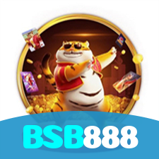 BSB888 visual