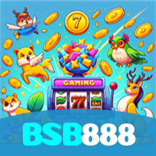 BSB888 visual